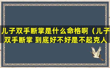儿子双手断掌是什么命格啊（儿子双手断掌 到底好不好是不起克人）